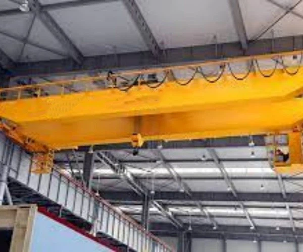 overhead crane 30 ton(4)